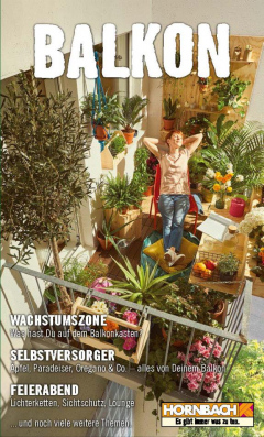 Hornbach